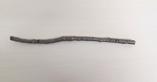お買得！国産 自然木止まり木 ミニ40cm（止まり木のみ）ひび割れ有②